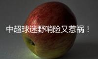 中超球迷野哨险又惹祸
！球员都懵了 金哨无奈了