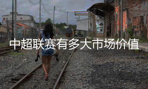 中超 2.13亿而在2013年和2012年