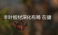 丰叶板材深化布局 在健康家居辅材领域持续领跑