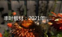 丰叶板材�：2021年，我们想要这样!