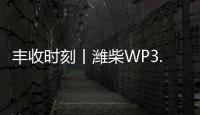 丰收时刻丨潍柴WP3.6N勇当先
，油菜丰收捷报传