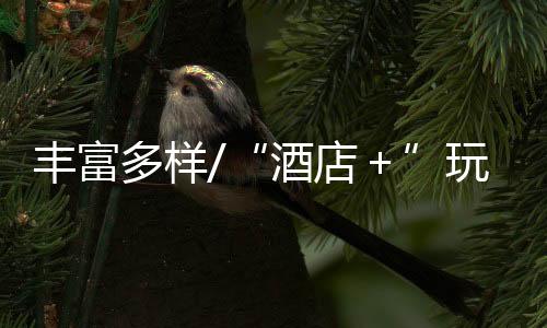 玩法往年外地客佔比近六成