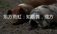 东方雨虹：知敬畏，成方圆