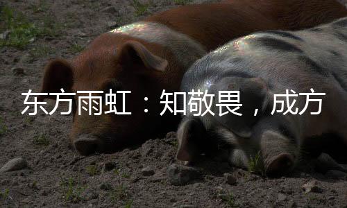 勇创先进的成方圆良好氛围