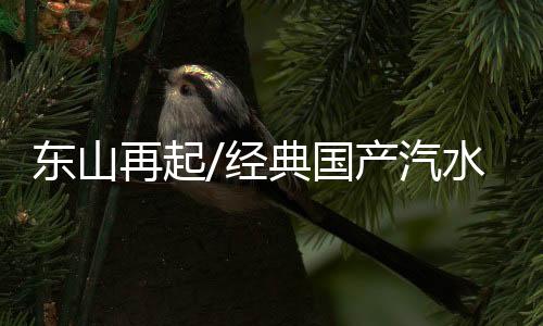 拟深交所中小板挂牌上市