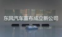 东风汽车宣布成立新公司，卓驭科技称Tier1需具备兜底能力