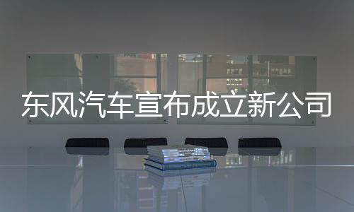 拨杆变道等20余项功能