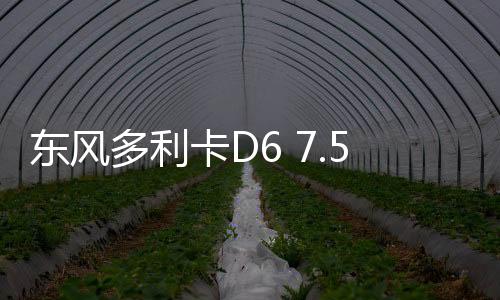 东风多利1900mm宽星云驾驶室