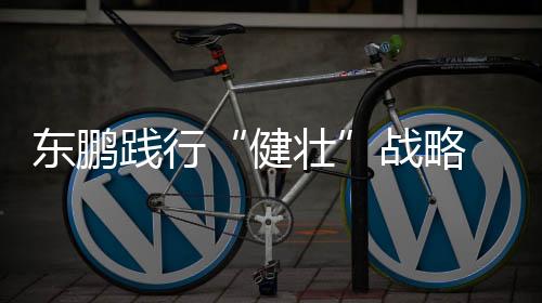 从技术创新到标准先行