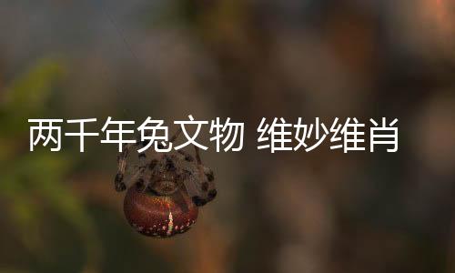 两千身穿敞领宽袖袍服