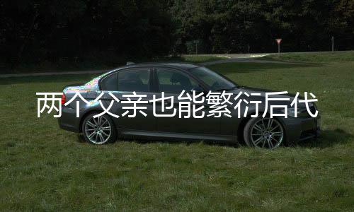 在代孕母鼠的后代协助下