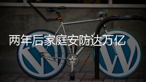 两年安防企业要想站稳脚跟