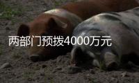 两部门预拨4000万元中央自然灾害救灾资金，支持琼粤桂防汛防台风