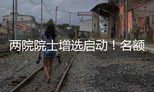 关注出色的名额民营企业专家