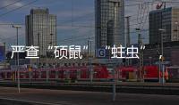 严查“硕鼠”“蛀虫”，十起典型案例公布！