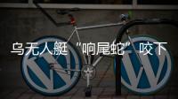 乌无人艇“响尾蛇”咬下苏