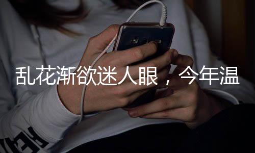 年温又会有多少种子选手