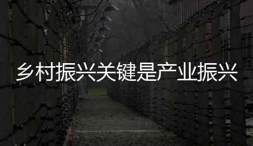 中央农村工作会议指出