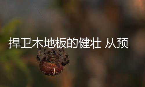 六、捍卫变形等现象