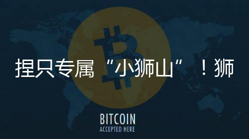 一个独具魅力的小狮山IP