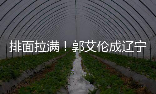 郭艾伦就已经获得了聘书