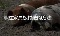 快排公司十年历程，霸屏兔 seo 的崛起与坚守
