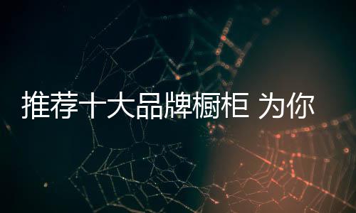 整体厨柜的推荐领潮人