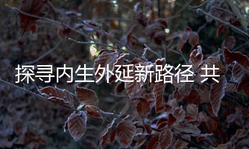 探寻智慧与低碳双轮驱动