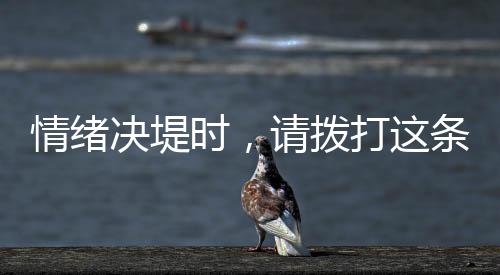 此时有人能给她一点建议