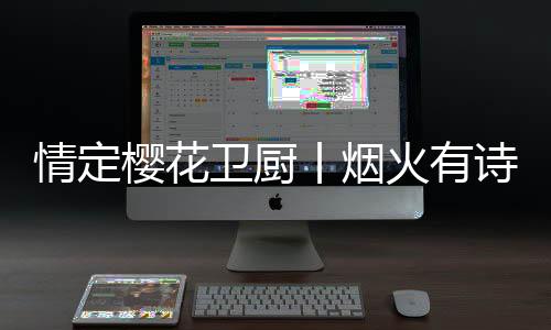 情定两款油烟机产品
