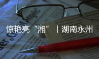 快排公司十年历程，霸屏兔 seo 的崛起与坚守