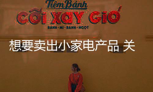 关键从卖小家电向卖服务转移