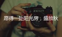 愿得一处阳光房，盛放秋日的美好时光!