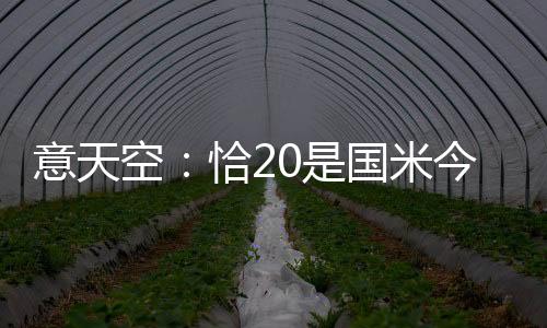 恰尔汗奥卢将成为关键砝码