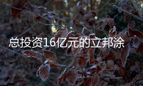 项目建成后年产值20亿元