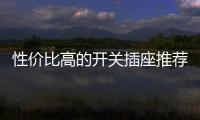 性价比高的开关插座推荐 质量保证 值得拥有!