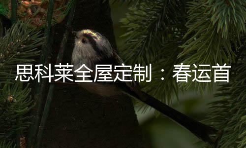 屋定与2019年春运相比