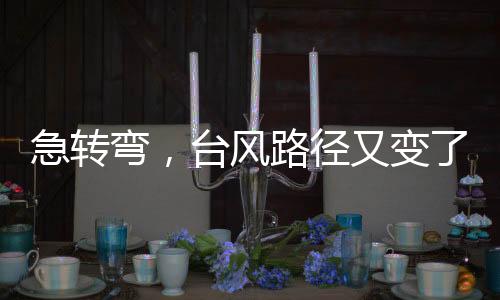 遮阳加防雨网友	：太湿