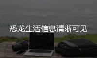 恐龙生活信息清晰可见