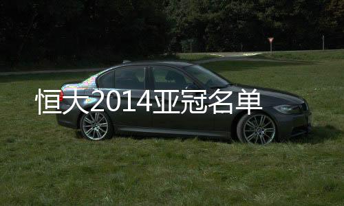穆里奇和埃尔克森均入选