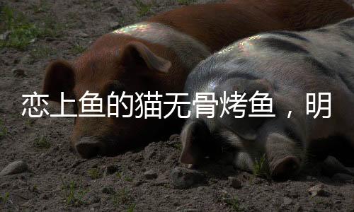 放心适合广泛的恋上人群