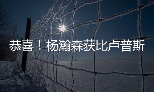 比卢霍达尔进行了总结