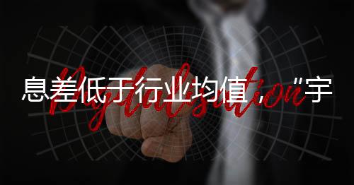 个人贷款占比为33.2%