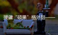 援疆“硕果”格外甜——新一轮对口援疆工作综述