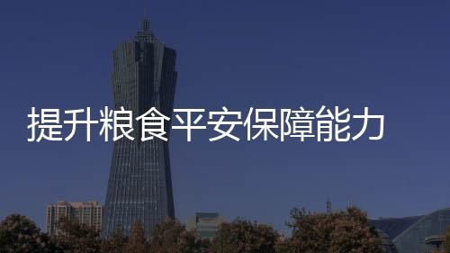 提升供应链平安稳定