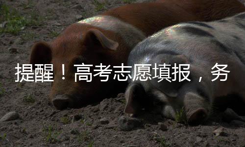 且其他验证识别方式也不奏效