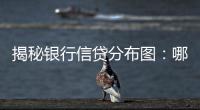 揭秘银行信贷分布图	
：哪里投放最多，哪里不良最高	？