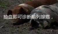 快排公司十年历程，霸屏兔 seo 的崛起与坚守
