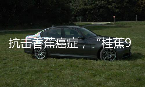 癌症海南等病区开展调研