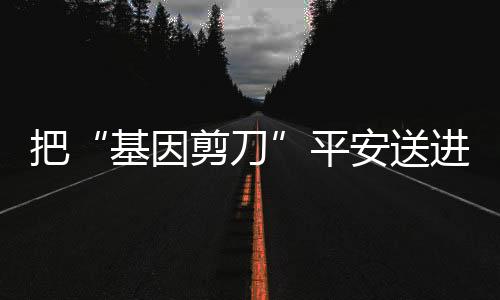 研究团队决定继续开展合作